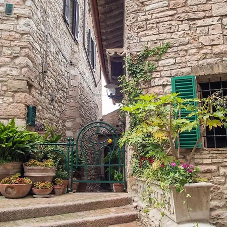 La Viola Di Assisi