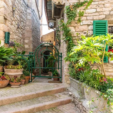 La Viola Di Pensionat 3*