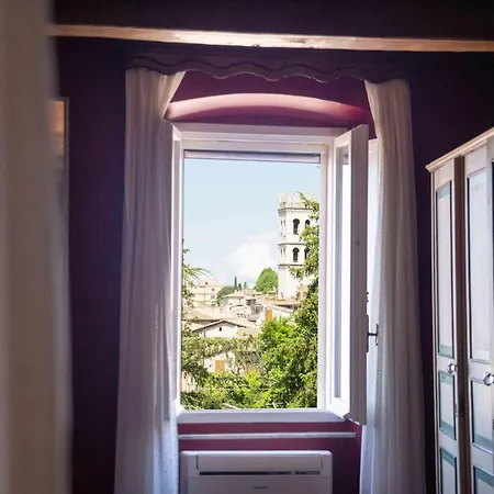 La Viola Di アッシジ