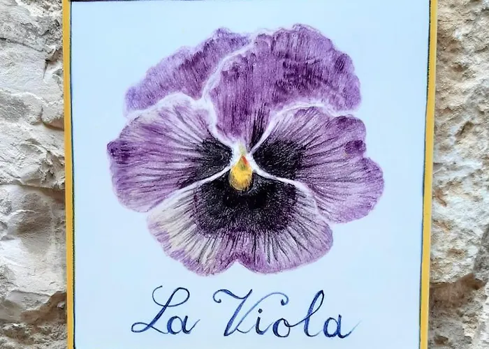 La Viola Di Penzion