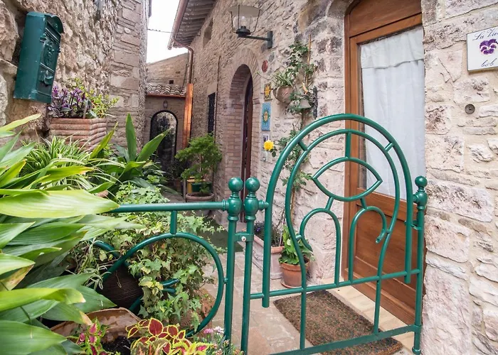 La Viola Di Penzion 3*