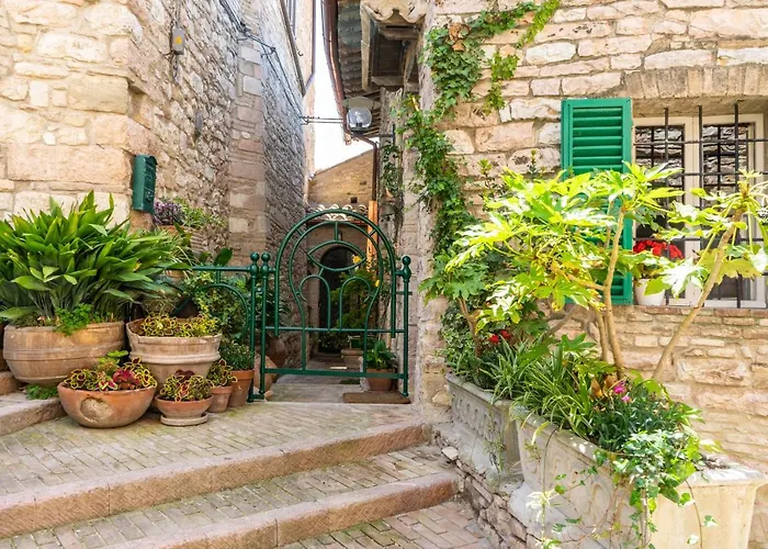 La Viola Di Penzion 3*