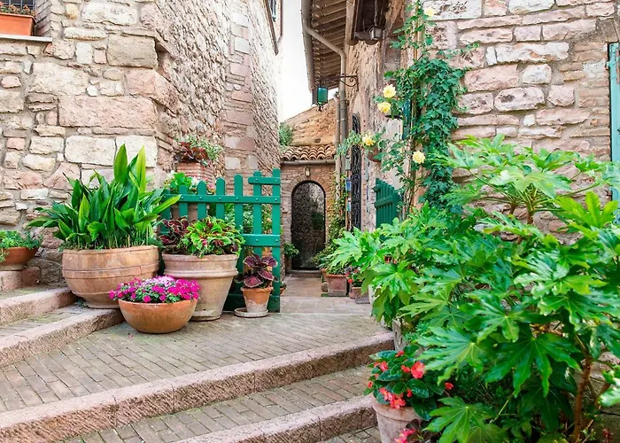 Casa de hóspedes La Viola Di